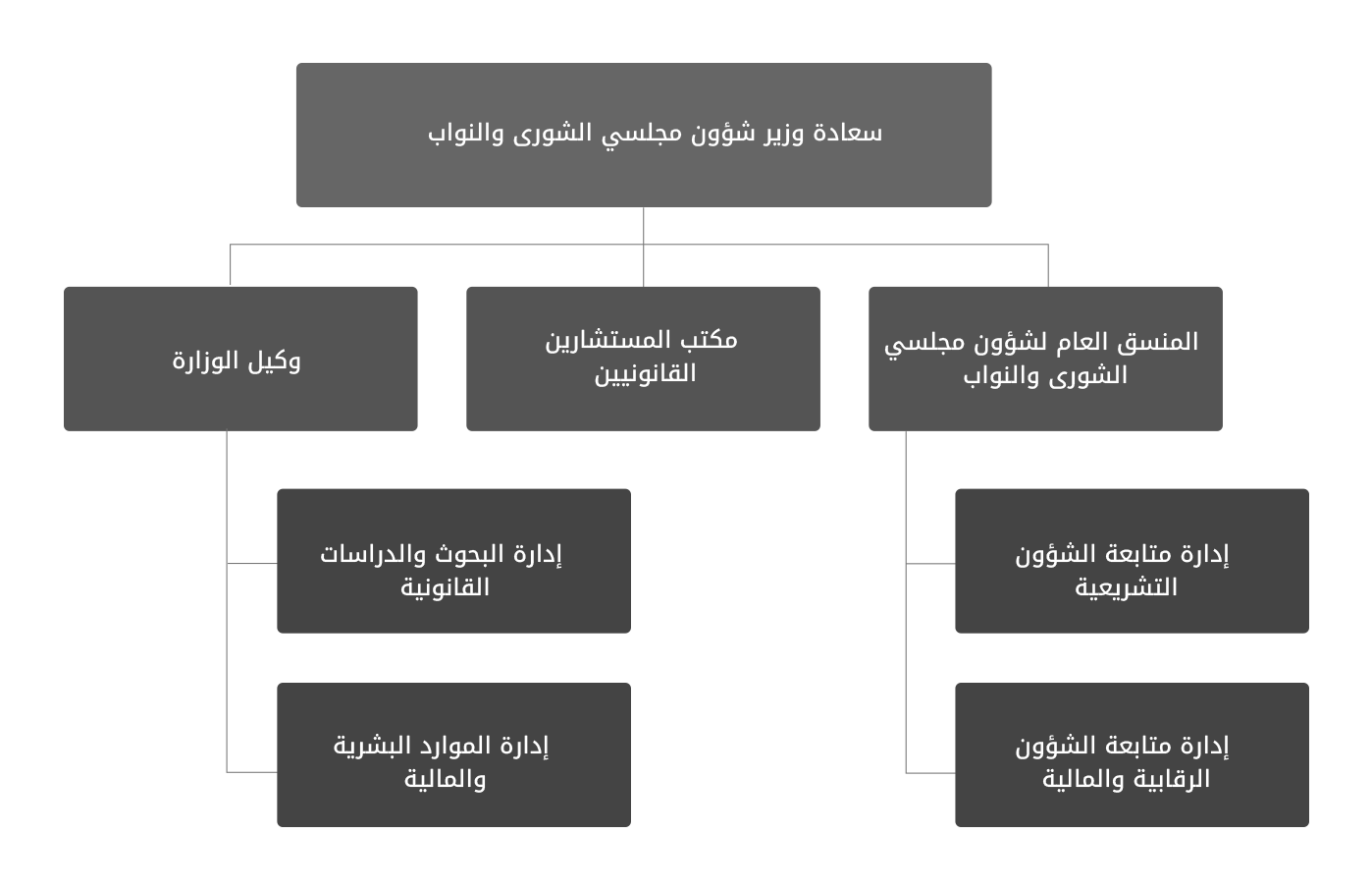 Organizational Chart Dark